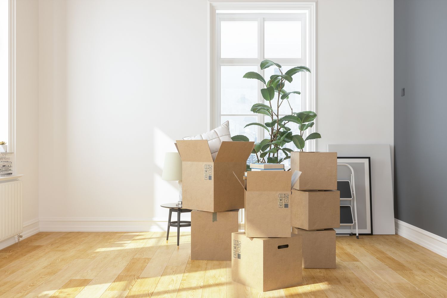 moving and packing services